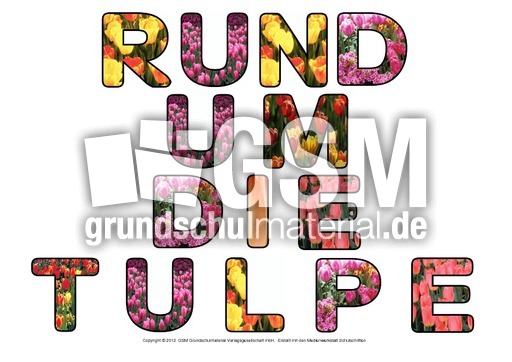 Rund-um-die-Tulpe-Deko-2.pdf